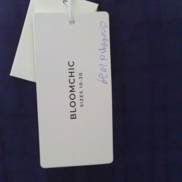 BNWT BLOOMCHIC BLUE DRESS SHEER W/ LINING ( DRESSY ELEGANT) GORGEOUS SZ. 12 - Picture 5 of 11